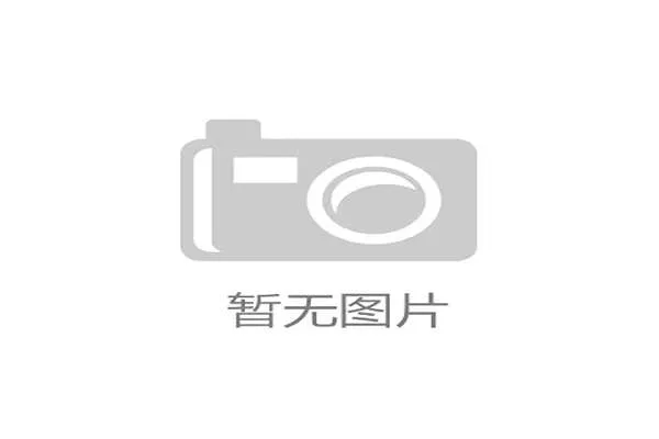 2002世界杯韩国队主帅希丁克的传奇执教